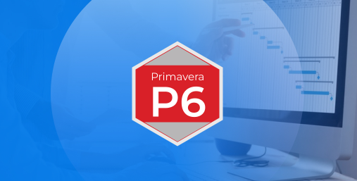 From Planning to Performance: The Value Oracle Primavera P6 Provides